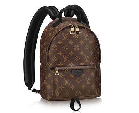 louis vuitton hot springs backpack|Louis Vuitton backpack palm springs.